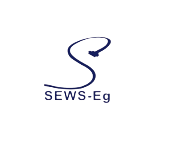 SEWS-removebg-preview